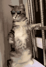 Add sticker to moving GIF